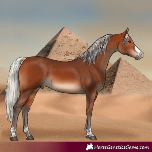 Horse Color:Silver Bay