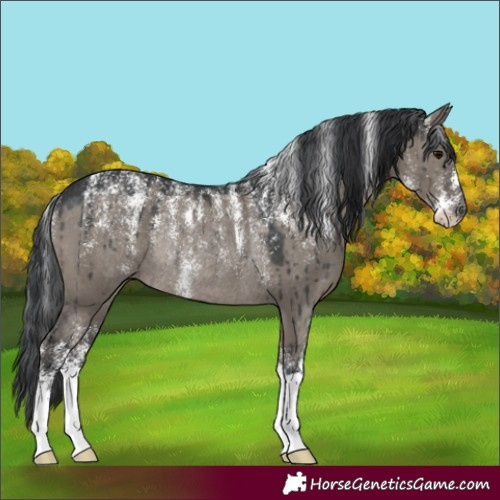 Horse Color:Powder White Grullo Rabicano Brindle 