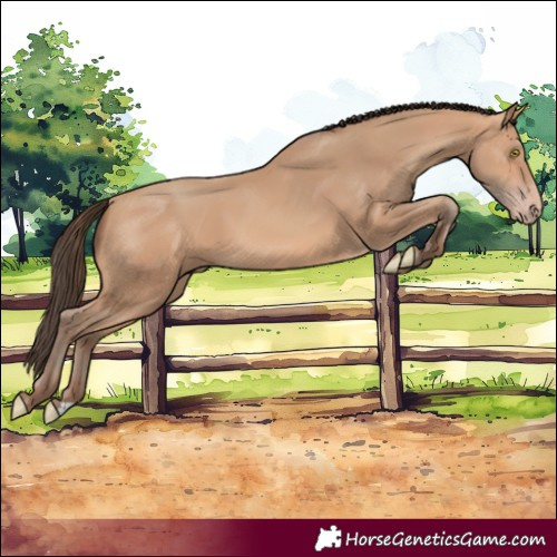 Horse Color:Amber Champagne