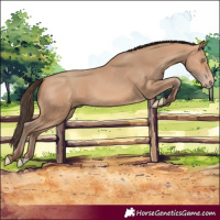 Horse Color:Amber Champagne