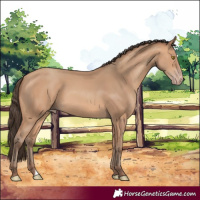 Horse Color:Amber Champagne