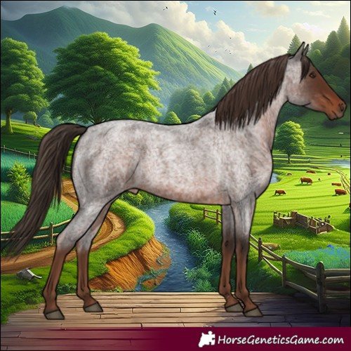 Horse Color:Liver Red Roan 