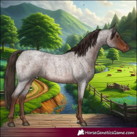 Horse Color:Liver Red Roan