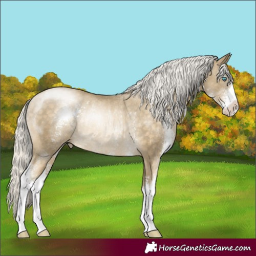 Horse Color:Silver Buckskin Pearl Sabino Rabicano