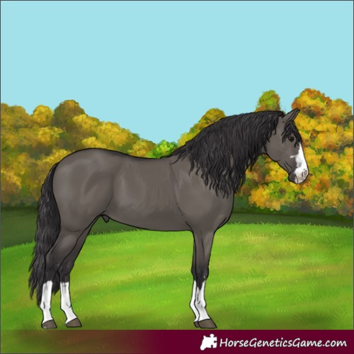 Horse Color:Smoky Grullo 