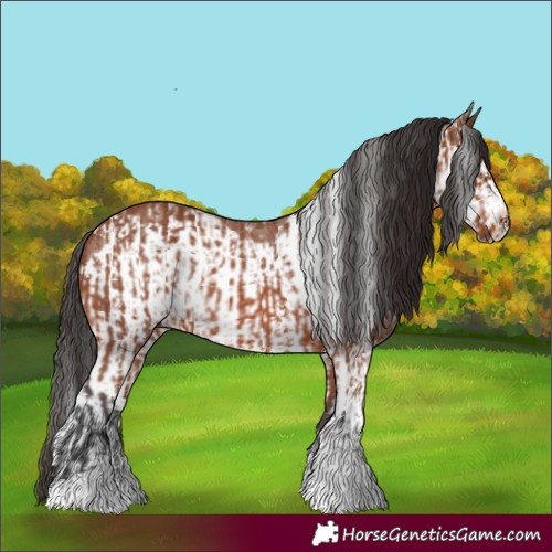 Horse Color:Bay Sabino Rabicano  and Bay Sabino Frame Rabicano 