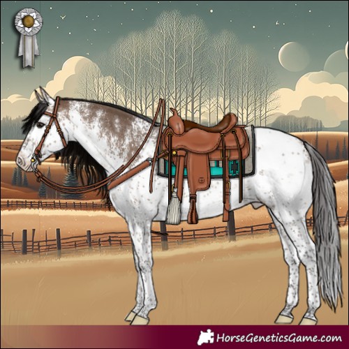 Horse Color:White Spotted Brown Dun Sabino Appaloosa Rabicano 