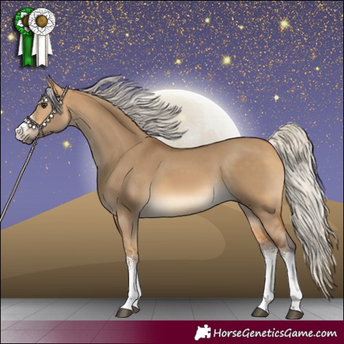 Horse Color:White Spotted Silver Buckskin Dun 
