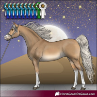 Horse Color:White Spotted Silver Buckskin Dun