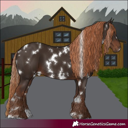 Horse Color:White Spotted Liver Chestnut 