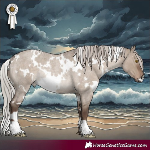 Horse Color:White Spotted Silver Grullo Roan Rabicano 