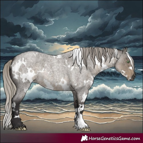 Horse Color:White Spotted Silver Smoky Grullo Roan 
