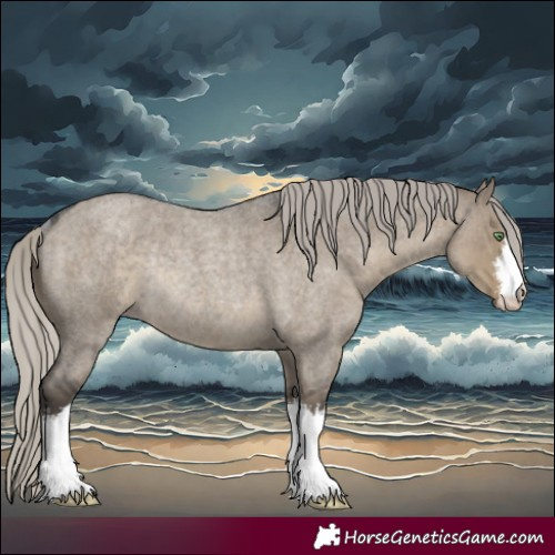 Horse Color:White Spotted Silver Smoky Grullo Roan Rabicano