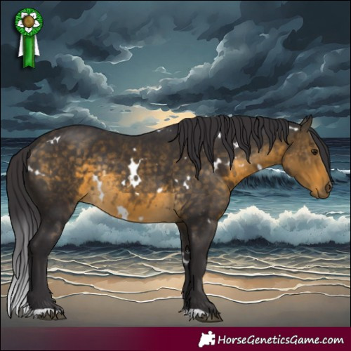 Horse Color:White Spotted Buckskin Rabicano 