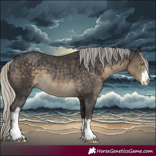 Horse Color:White Spotted Silver Smoky Black Rabicano