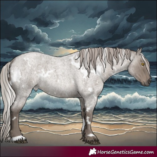 Horse Color:White Spotted Silver Grullo Roan Rabicano 
