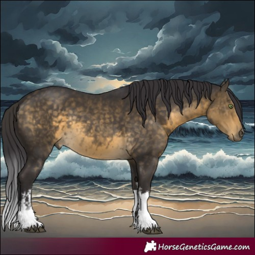 Horse Color:White Spotted Buckskin Rabicano 