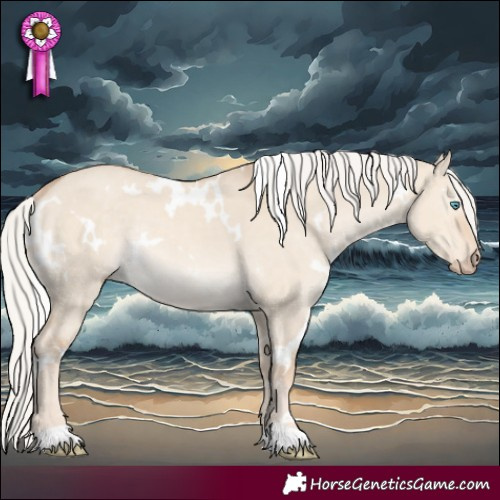 Horse Color:White Spotted Silver Smoky Creme Dun Rabicano 