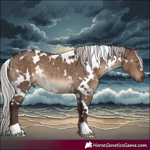 Horse Color:White Spotted Silver Brown Dun Rabicano Brindle