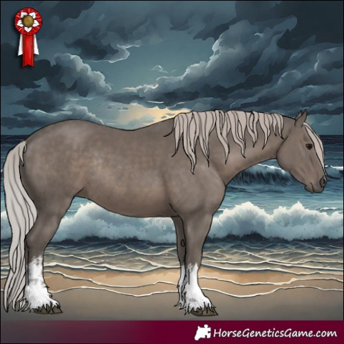 Horse Color:White Spotted Silver Black Rabicano