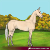 Horse Color:Silver Buckskin