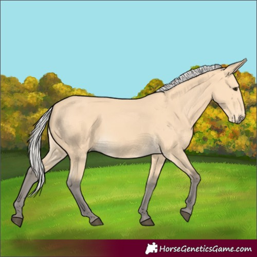 Horse Color:Silver Buckskin