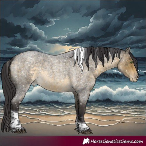 Horse Color:Buckskin Roan Tobiano Snowflake Varnish