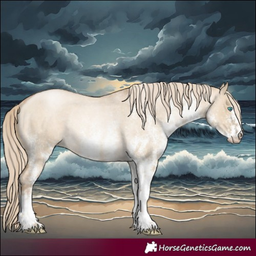 Horse Color:White Spotted Chocolate Palomino Roan Pearl Dun Rabicano 