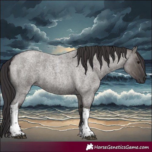 Horse Color:Smoky Grullo Roan Tobiano