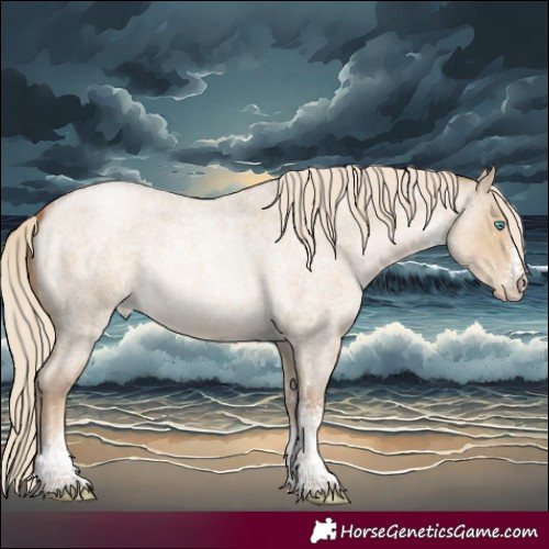Horse Color:White Spotted Chocolate Palomino Roan Pearl Dun Rabicano 