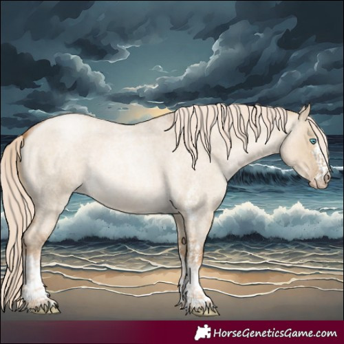 Horse Color:White Spotted Chocolate Palomino Roan Pearl Dun 