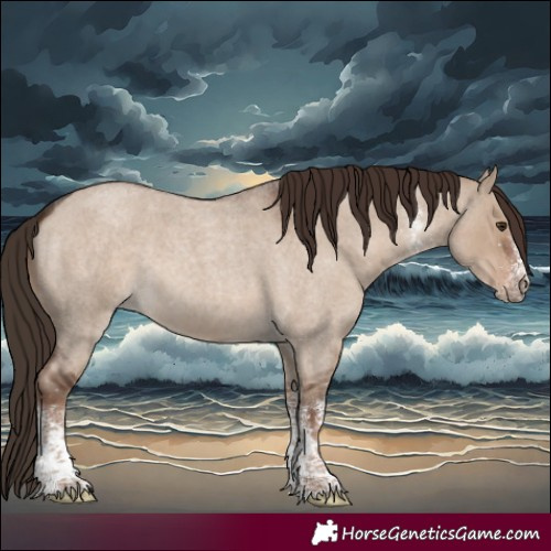 Horse Color:White Spotted Liver Red Dun Roan 