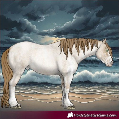Horse Color:White Spotted Smoky Blue Roan Pearl Rabicano 
