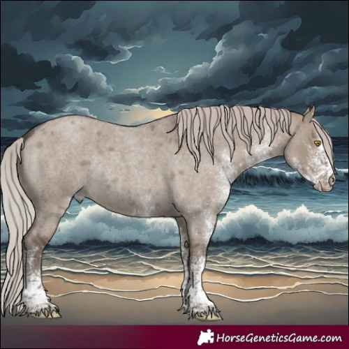 Horse Color:White Spotted Silver Grullo Roan Rabicano 