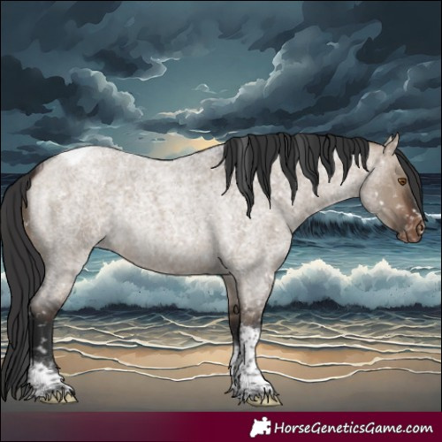 Horse Color:Brown Roan Dun Tobiano Snowflake Varnish Rabicano 