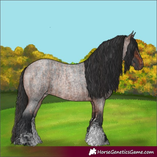 Horse Color:Bay Roan Sabino Rabicano and Brown Roan Sabino Rabicano