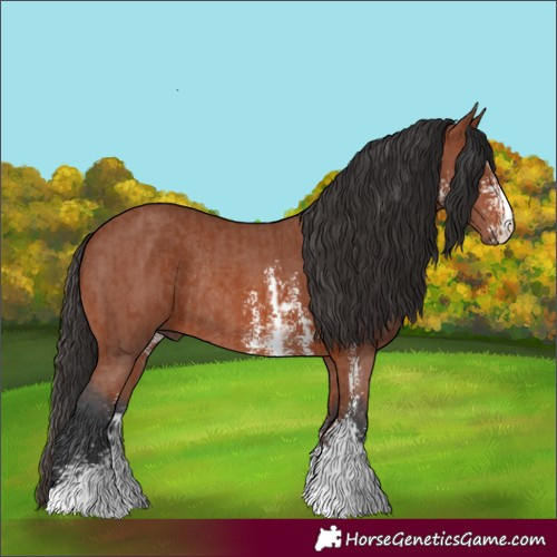 Horse Color:Bay Sabino Rabicano and Bay Sabino Rabicano
