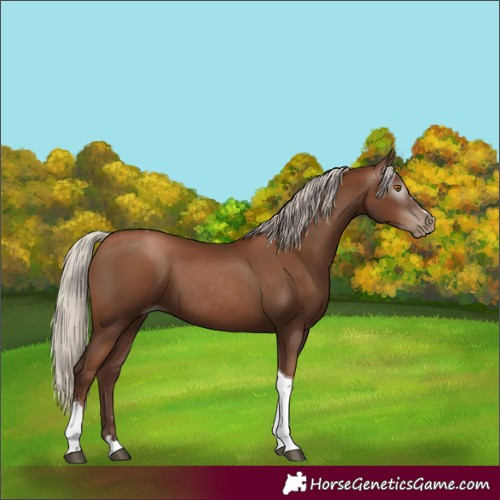 Horse Color:Gray Silver Black Pearl Tobiano 