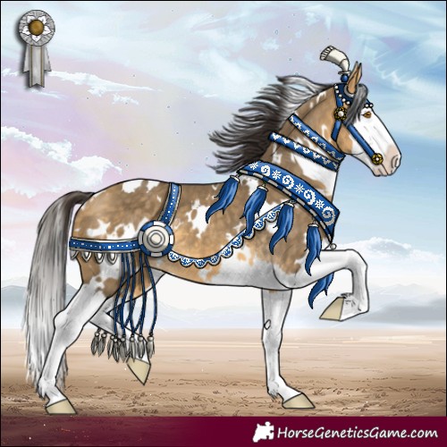 Horse Color:White Spotted Buckskin Dun Splash 