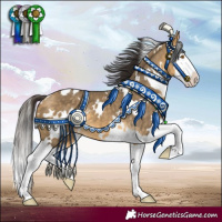 Horse Color:White Spotted Buckskin Dun Splash