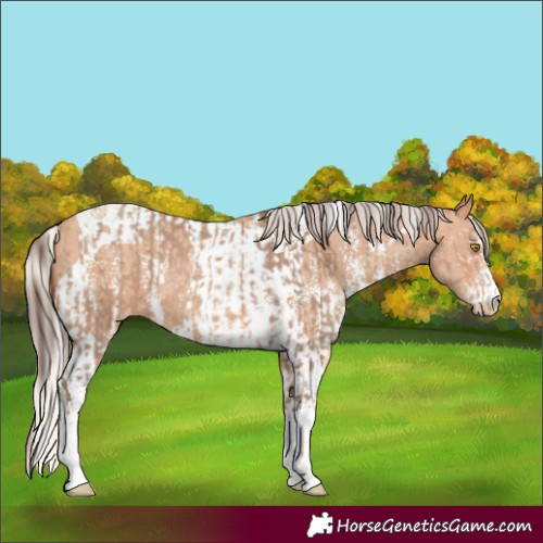 Horse Color:Amber Champagne Sabino Tobiano Varnish  and Silver Amber Champagne Sabino Tobiano Varnish 