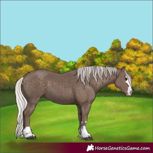 Horse Color:Silver Black 