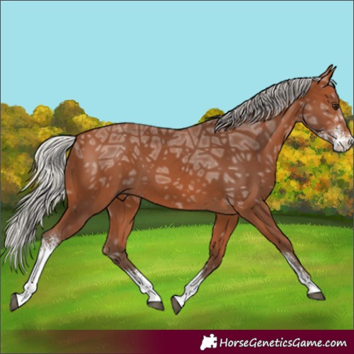 Horse Color:Silver Bay Ice Sabino