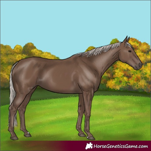 Horse Color:Silver Black 