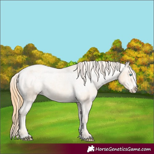 Horse Color:Gold Champagne Splash Varnish 