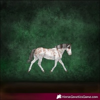 Horse Color:Bay Sabino Rabicano  and Bay Sabino Rabicano 