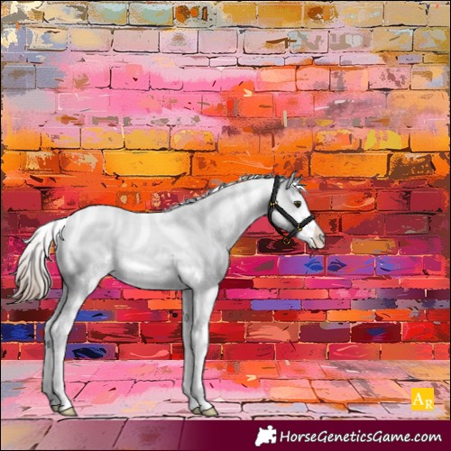 Horse Color:Liver Chestnut Sabino Appaloosa 