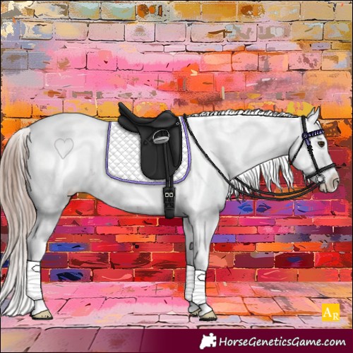 Horse Color:Liver Chestnut Sabino Appaloosa 