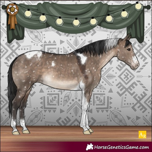 Horse Color:Brown Dun Tobiano Snowflake Varnish