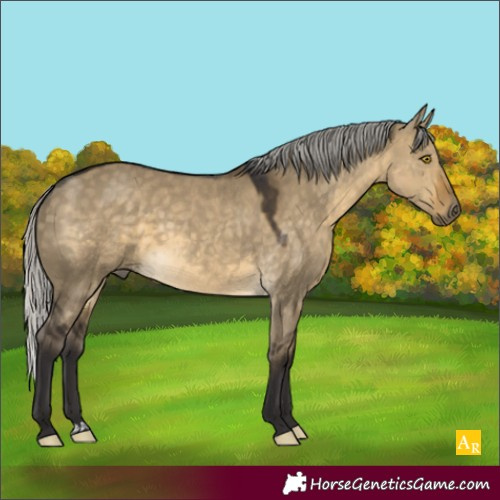 Horse Color:Silver Buckskin Dun 
